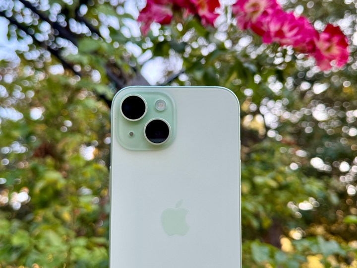 Ein grünes iPhone 15 vor einer Pflanze.