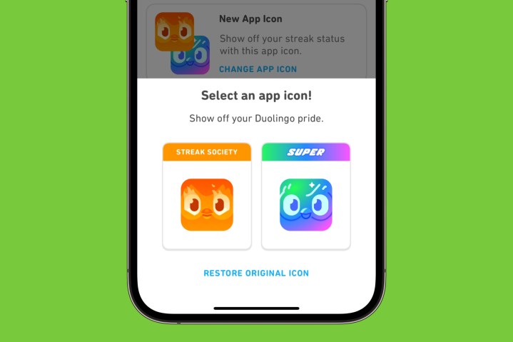 Ändern des Duolingo-App-Symbols auf einem iPhone.