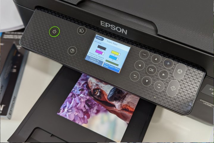 Auf dem Epson Expression Home XP-4200 wird gerade ein 4x6-Druck ausgeführt, wobei die Tintenfüllstände auf dem Display angezeigt werden.