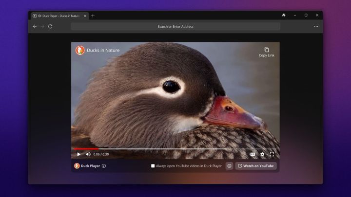 Der Windows-Browser von DuckDuckGo dient dem Schutz Ihrer Privatsphäre