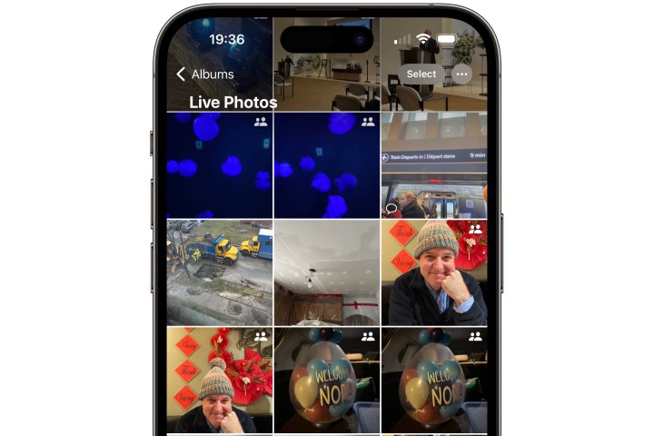 Auf dem iPhone wird die Fotos-App mit geöffneter Live-Fotogalerie angezeigt.