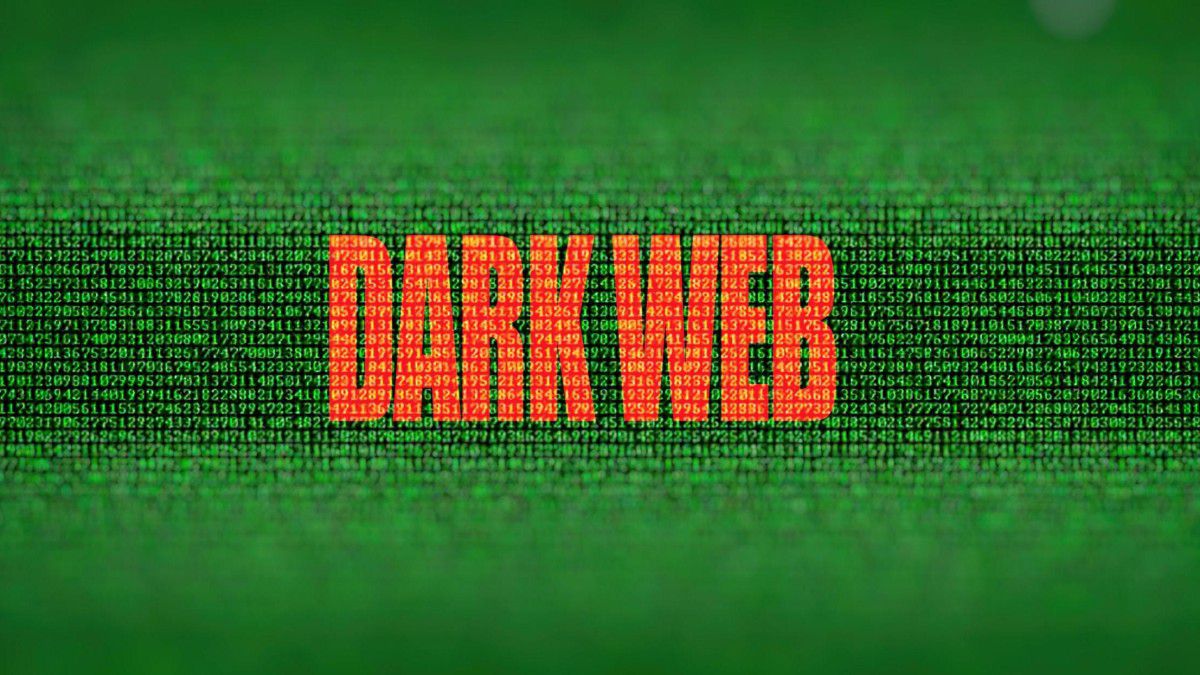 Welche Risiken birgt das Dark Web und wie kann ich mich schützen?