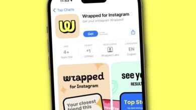 Ist die Instagram Wrapped-App ein Betrug?  Das wissen wir