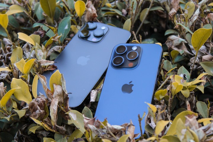 iPhone 14 Pro Max und iPhone 15 Pro auf Blättern.