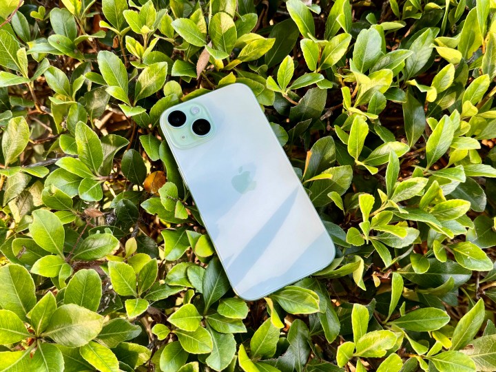 Ein grünes iPhone 15 in einem Busch.