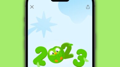Duolingo-Jahresrückblick 2023: So finden Sie jetzt Ihr Duo