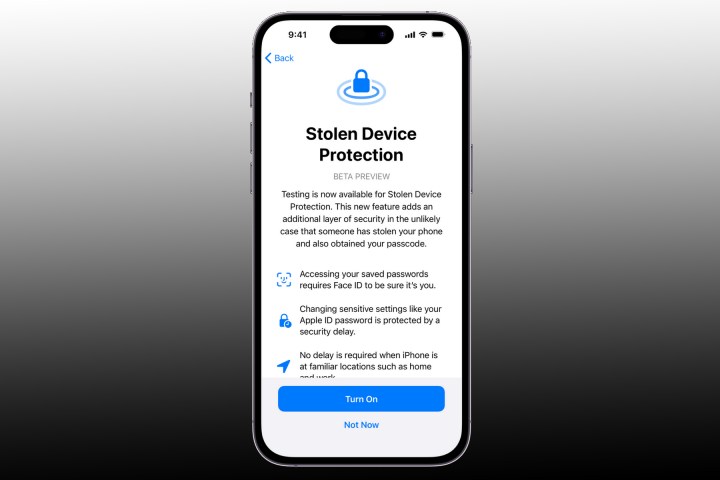 Funktion zum Schutz gestohlener Geräte auf dem iPhone.