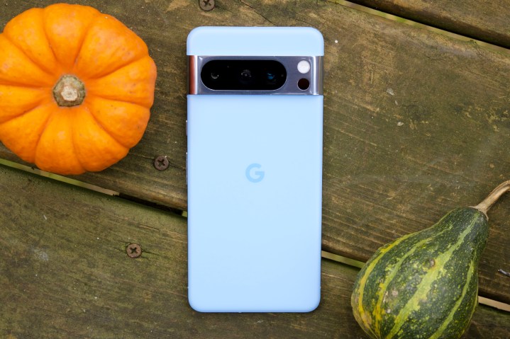 Ein blaues Google Pixel 8 Pro, verdeckt neben einem kleinen Kürbis und Kürbis.