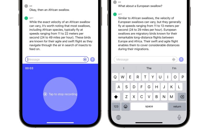 ChatGPT auf dem iPhone nutzt Voice-Chat, um weitere Informationen zur Geschwindigkeit einer europäischen Schwalbe zu erhalten.