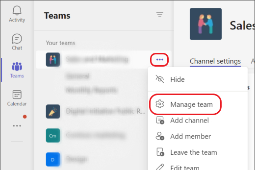 Option „Team verwalten“ in Microsoft Teams.