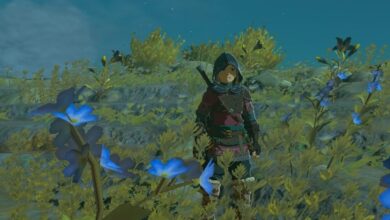 So erhalten Sie Wild Greens in Zelda: Tears of the Kingdom