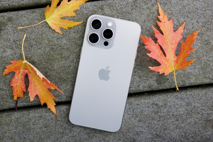 iPhone 15 Pro Max liegt auf dem Boden, umgeben von Blättern.