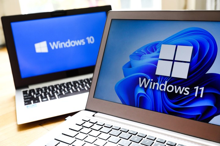 Auf Laptop-Bildschirmen werden Logos der Betriebssysteme Windows 11 und Windows 10 angezeigt.