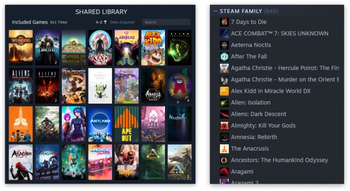 Eine Steam-Familienbibliothek in Steam.