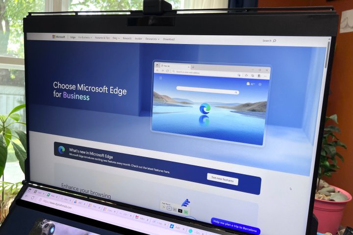 Microsoft Edge erscheint auf einem Computerbildschirm mit Pflanzen und einem Fenster im Hintergrund.