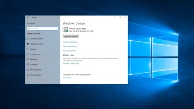 Microsoft rudert bei zukünftigen Windows 10-Updates zurück