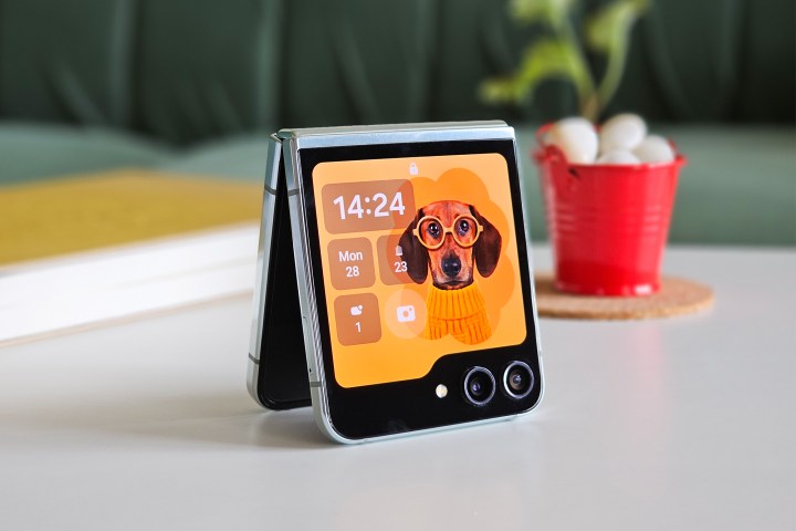 Samsung Galaxy Z Flip 5 teilweise geöffnet, während es auf einer flachen Oberfläche steht, mit einem informativen Hintergrundbild-Widget mit einem orangefarbenen Hund auf dem Cover-Bildschirm.